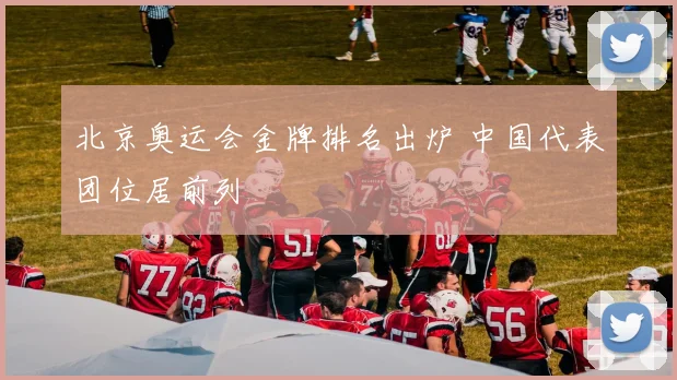 北京奥运会金牌排名出炉 中国代表团位居前列
